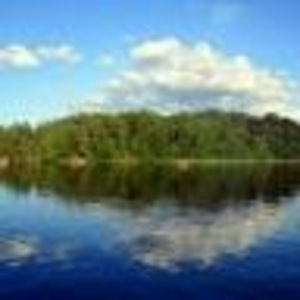 Meet your Posher, Iris